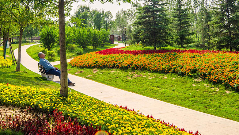 风起清明，踏青寻春 | 走进岭南股份的春日画卷