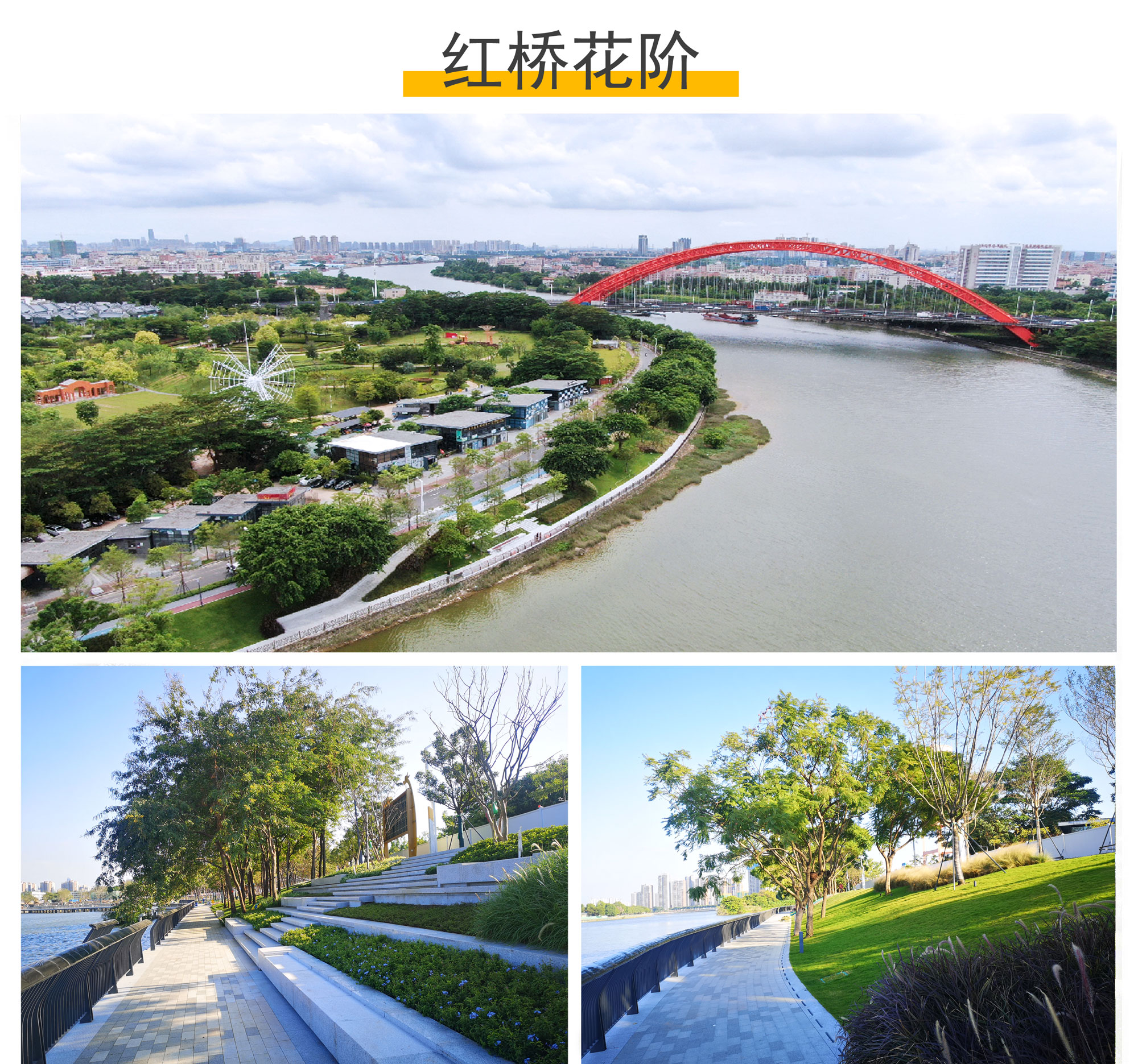 红桥花阶.jpg