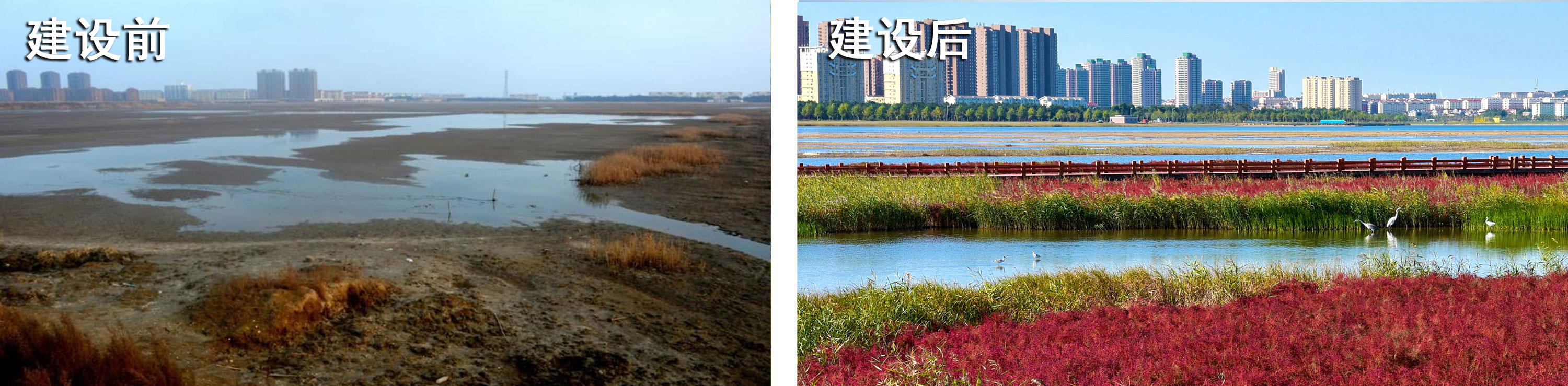 潮汐湖4.jpg