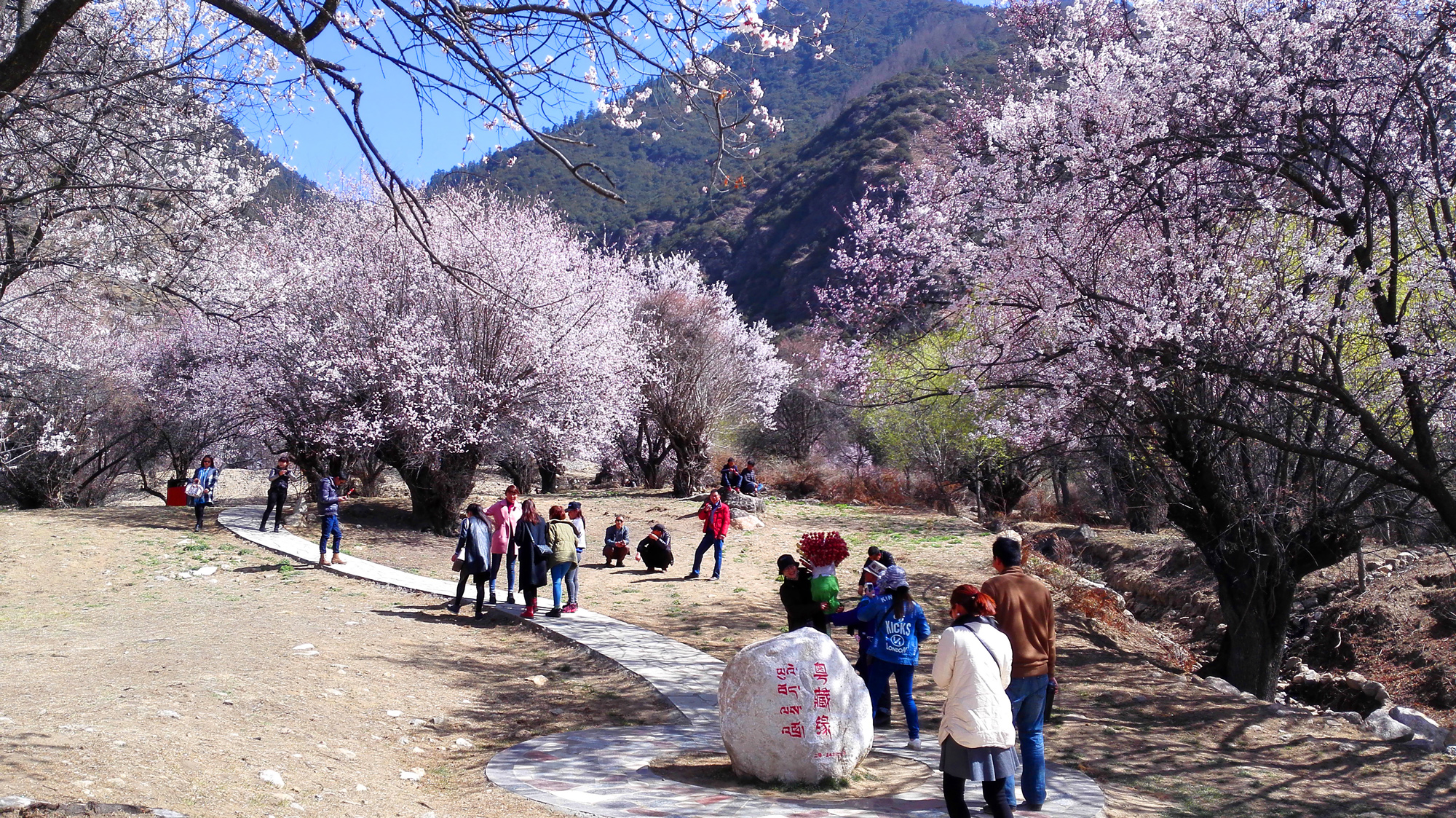 林芝县嘎啦小康示范村旅游景观工程项目-(11).jpg